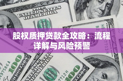 北京股权质押贷款全攻略：流程详解与风险预警
