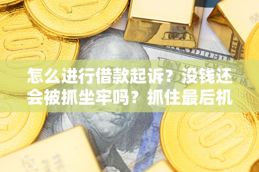 北京怎么进行借款起诉？没钱还会被抓坐牢吗？抓住最后机会！