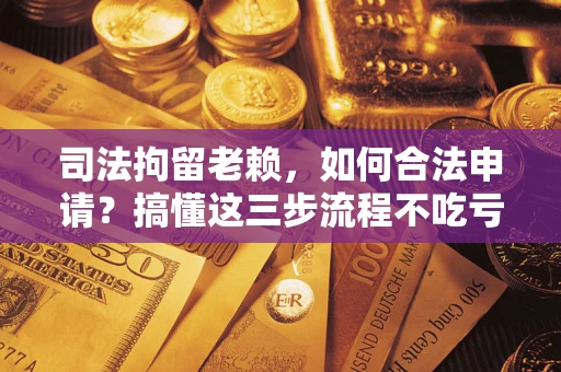 北京司法拘留老赖，如何合法申请？搞懂这三步流程不吃亏！