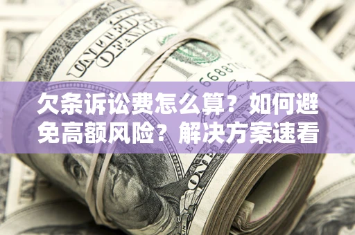 北京欠条诉讼费怎么算？如何避免高额风险？解决方案速看！