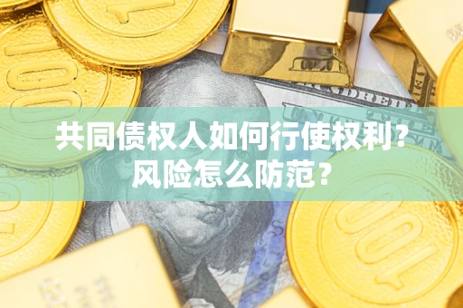 北京共同债权人如何行使权利？风险怎么防范？