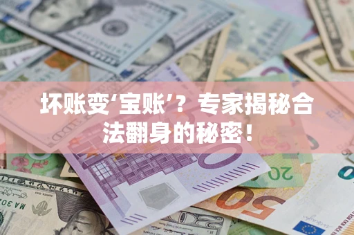 北京坏账变‘宝账’？专家揭秘合法翻身的秘密！