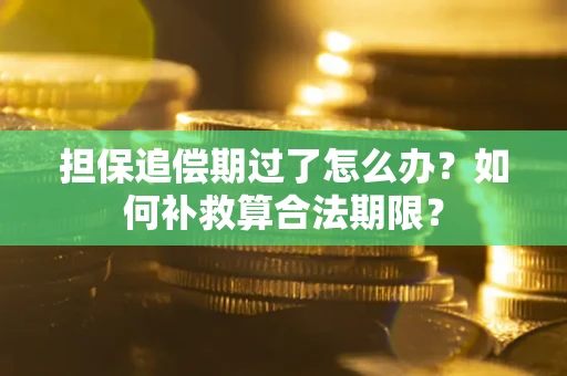 北京担保追偿期过了怎么办？如何补救算合法期限？