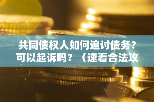 北京共同债权人如何追讨债务？可以起诉吗？（速看合法攻略）