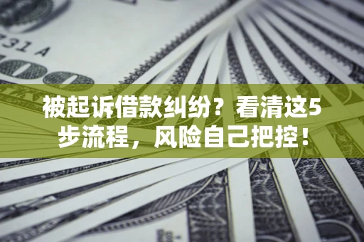北京被起诉借款纠纷？看清这5步流程，风险自己把控！