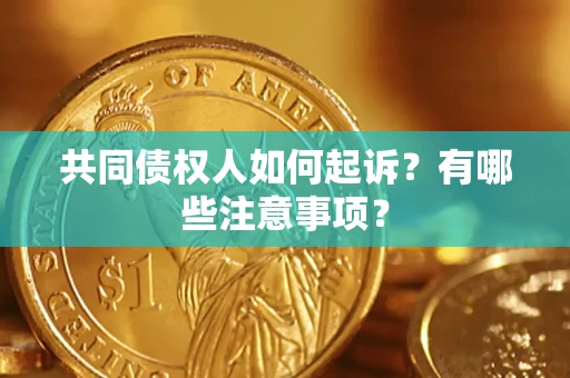 北京共同债权人如何起诉？有哪些注意事项？