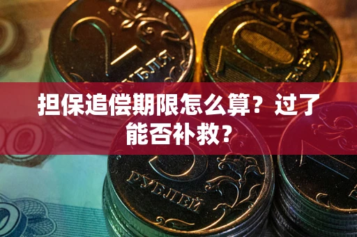 北京担保追偿期限怎么算？过了能否补救？